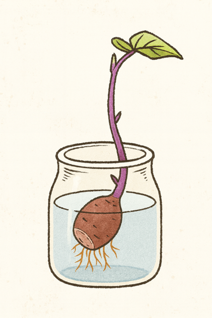 株式会社ファーマン。ボトムビジュアル。