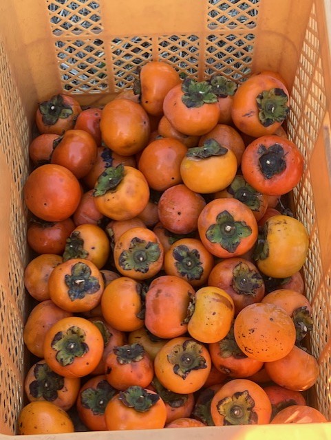 株式会社ファーマン。ボトムビジュアル。